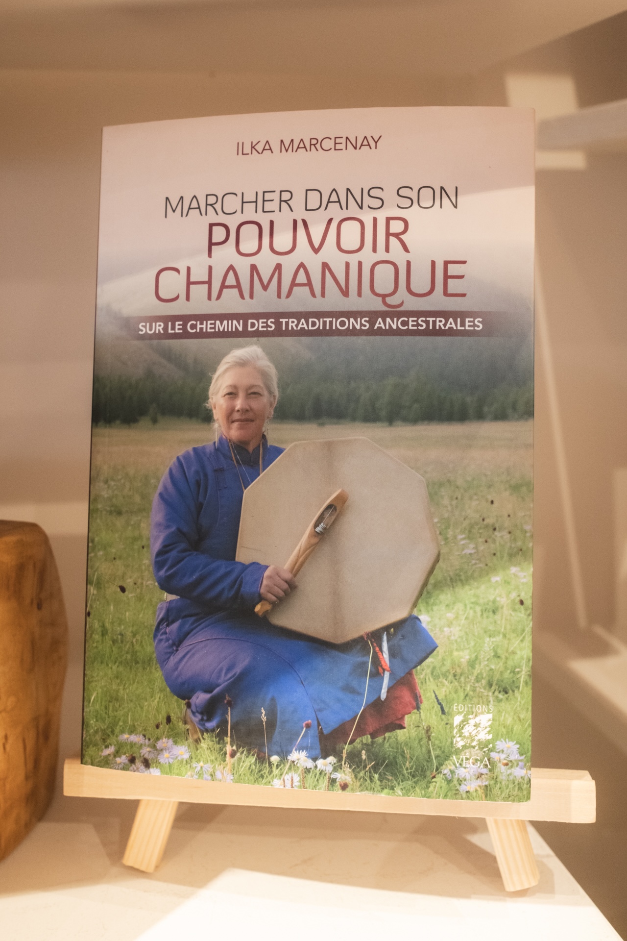 La panthère des neiges